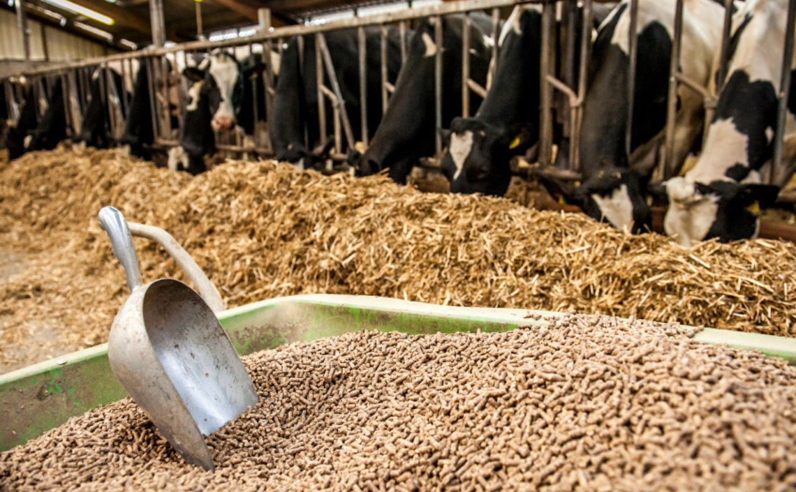 Финский молочный завод запретил своим поставщикам кормить животных соевой мукой / Агро-Матик