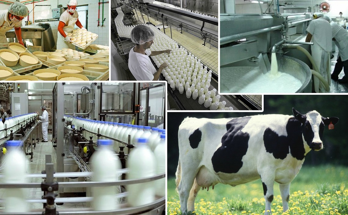 Минсельхоз США: производство молока в России продолжит расти / Агро-Матик