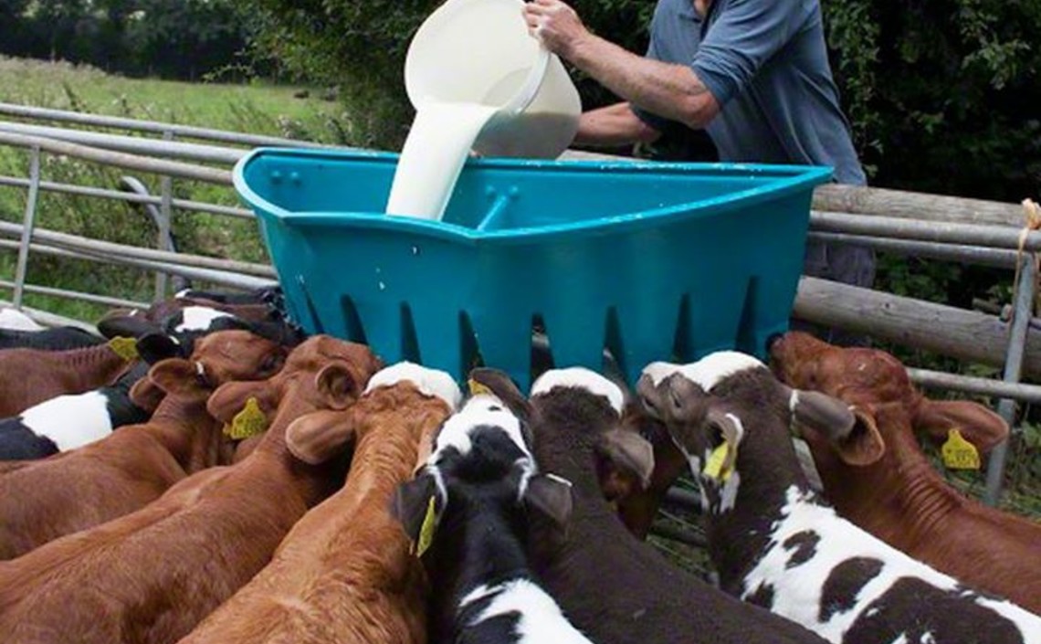 Способ получения молока из зерна люпина / Агро-Матик