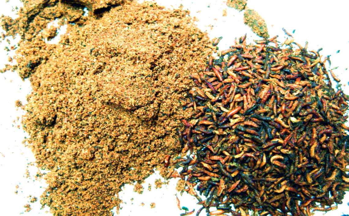 Использование высокопротеиновой муки из личинок мух (опарышей) в качестве замены рыбной и мяскостной муки / Агро-Матик
