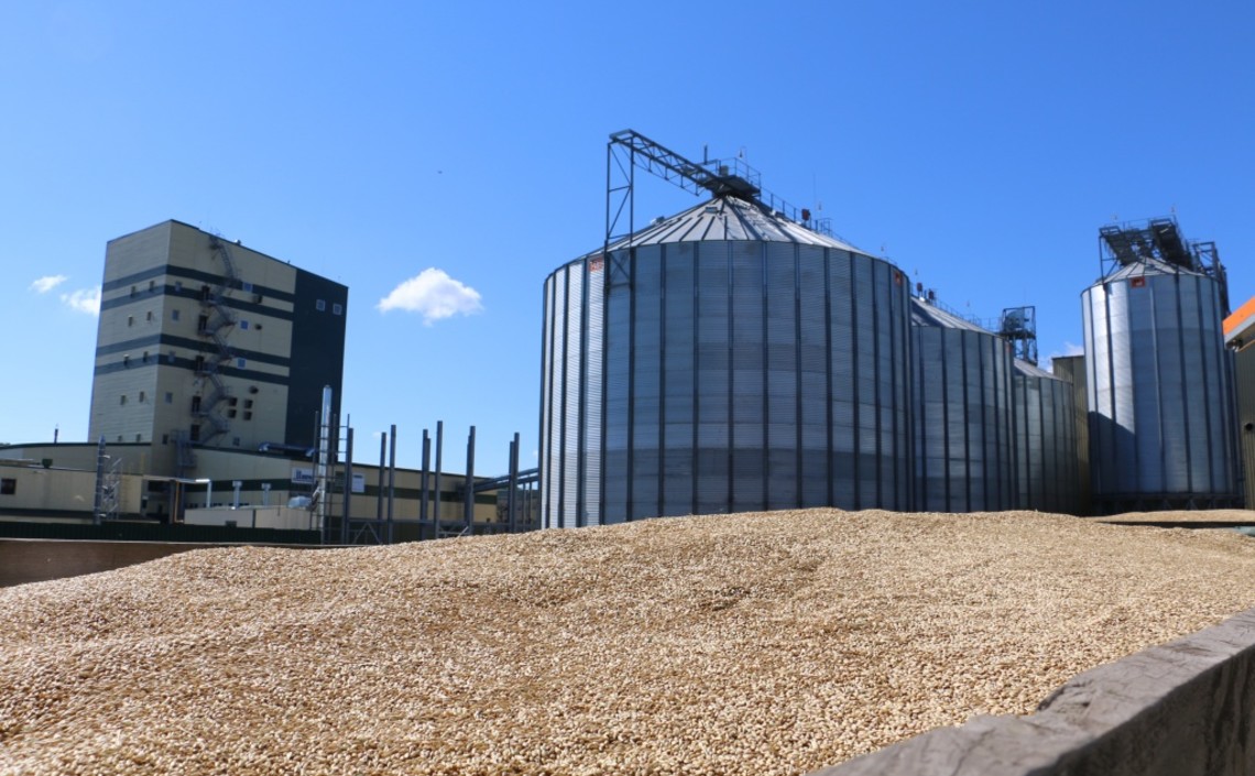 В Курской области введен в эксплуатацию цех термической обработки семян сои и люпина / Агро-Матик