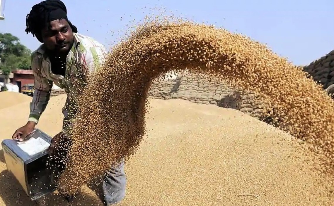 Россия готова значительно увеличить поставки зерновых на индийский рынок / Агро-Матик