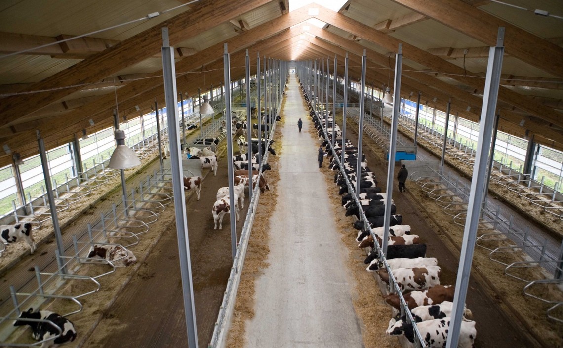 «Продимекс» ликвидирует свои молочные фермы в Воронежской области в пользу проектов с «Эконивой» / Агро-Матик