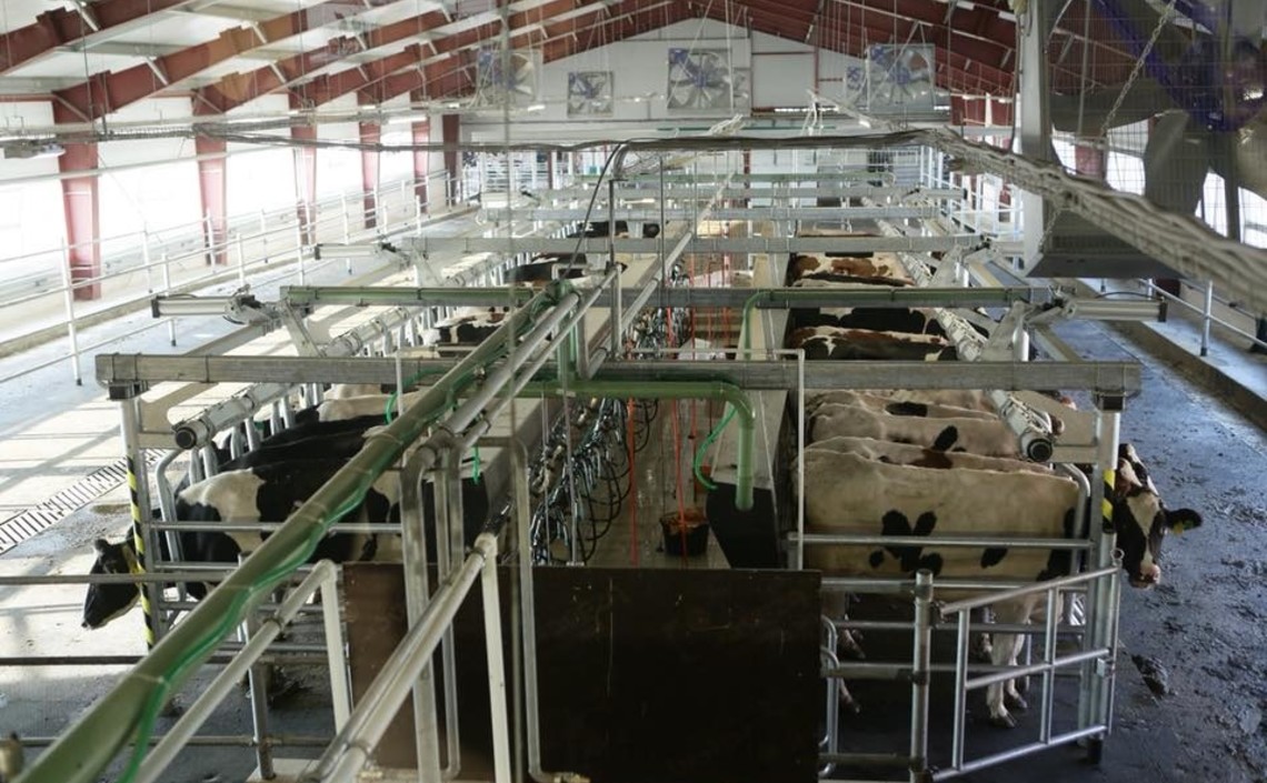 В Ульяновской области открыли крупный молочный комплекс / Агро-Матик