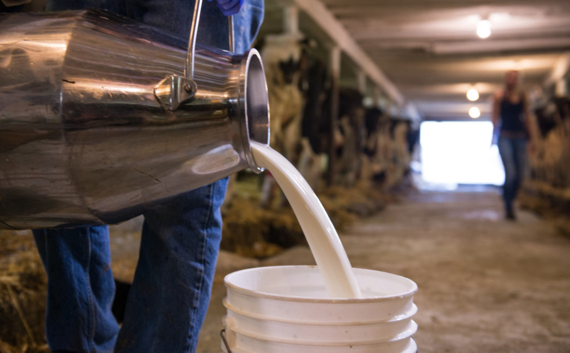 Аграрный сектор надеется на рост цен на молоко / Агро-Матик