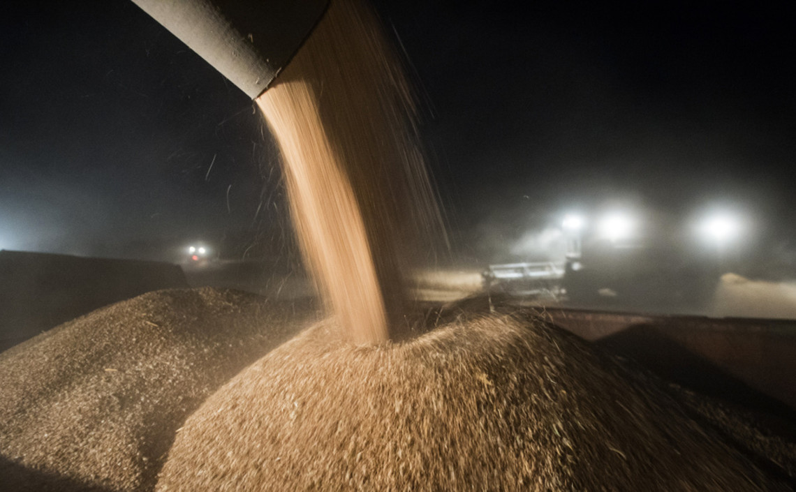 Казахстан, Россия и Иран подпишут многолетнее соглашение о поставках пшеницы в Иран / Агро-Матик