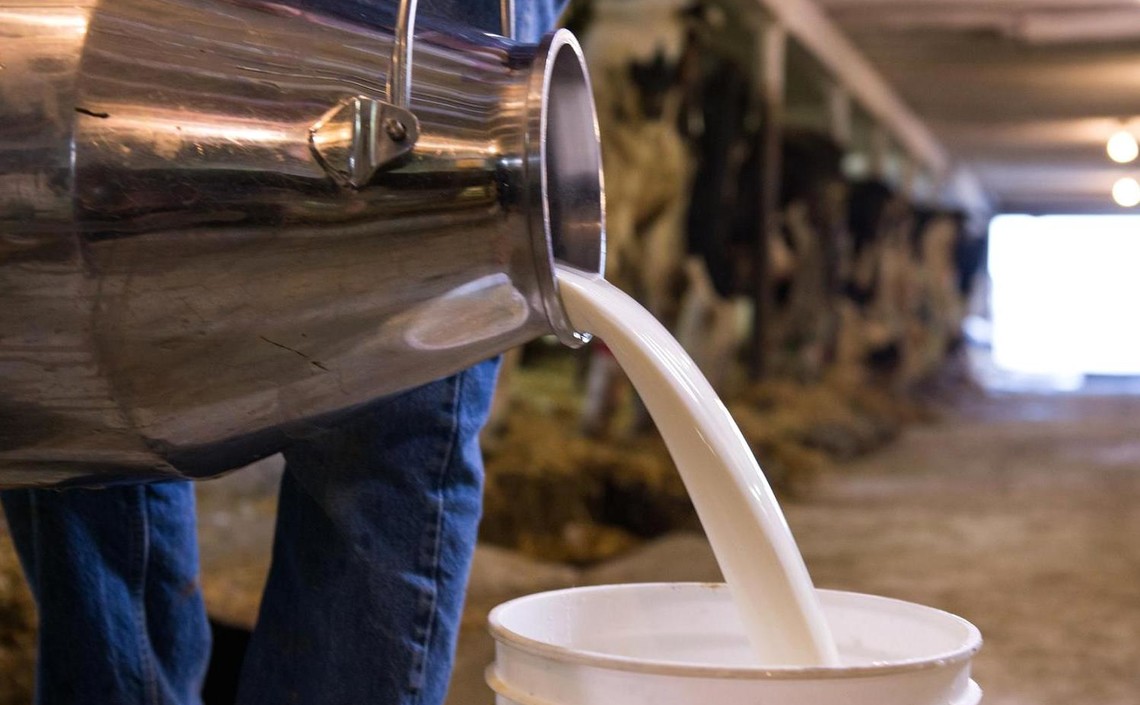Уровень цен на сырое молоко в РФ снизился на 2,2% в годовом выражении / Агро-Матик