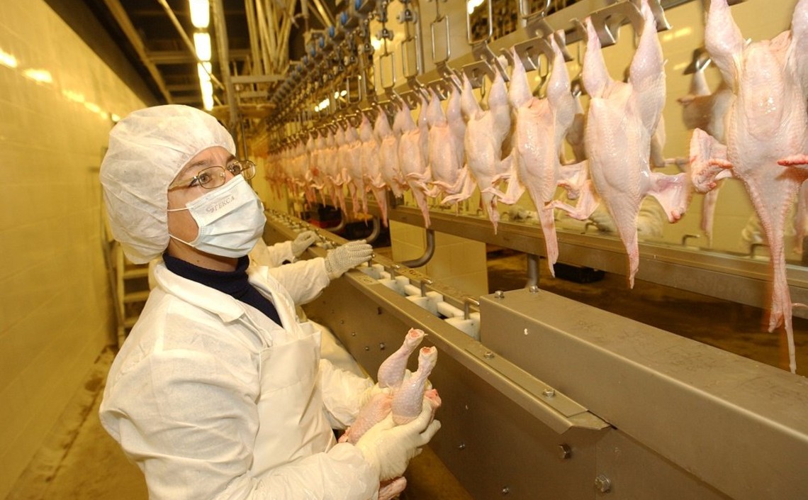 Удмуртия планирует начать экспорт мяса птицы в Китай / Агро-Матик