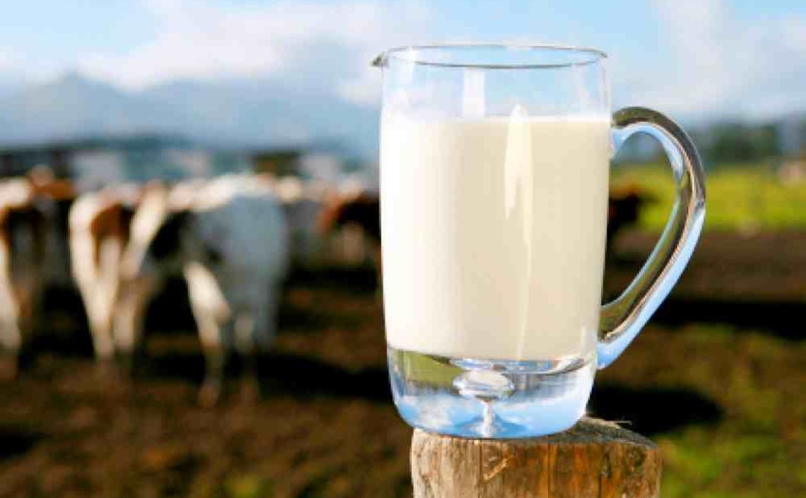 Rabobank прогнозирует проблему предложения молока в мире / Агро-Матик