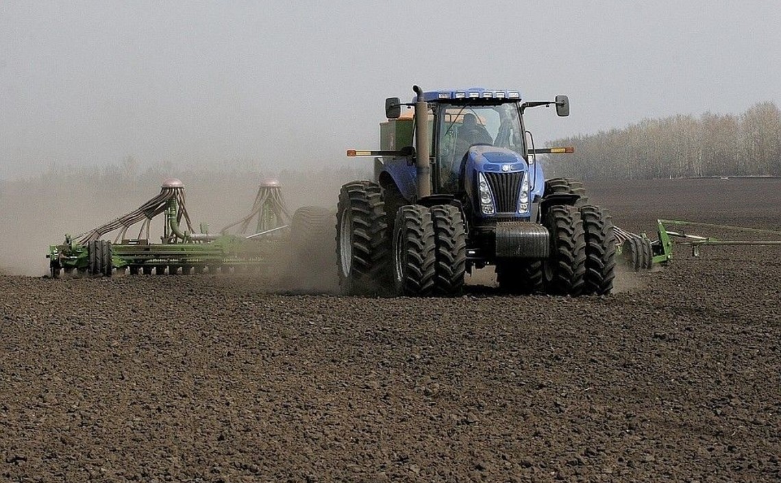 В Нижегородской области будут выращивать новые сорта сельхозкультур / Агро-Матик