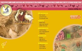 ТОП-менеджеры &laquo;Агро-Матик&raquo; прошли курсы повышения квалификации / Агро-Матик