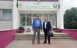 Люпин как важный ингредиент в сельскохозяйственном мире / Агро-Матик