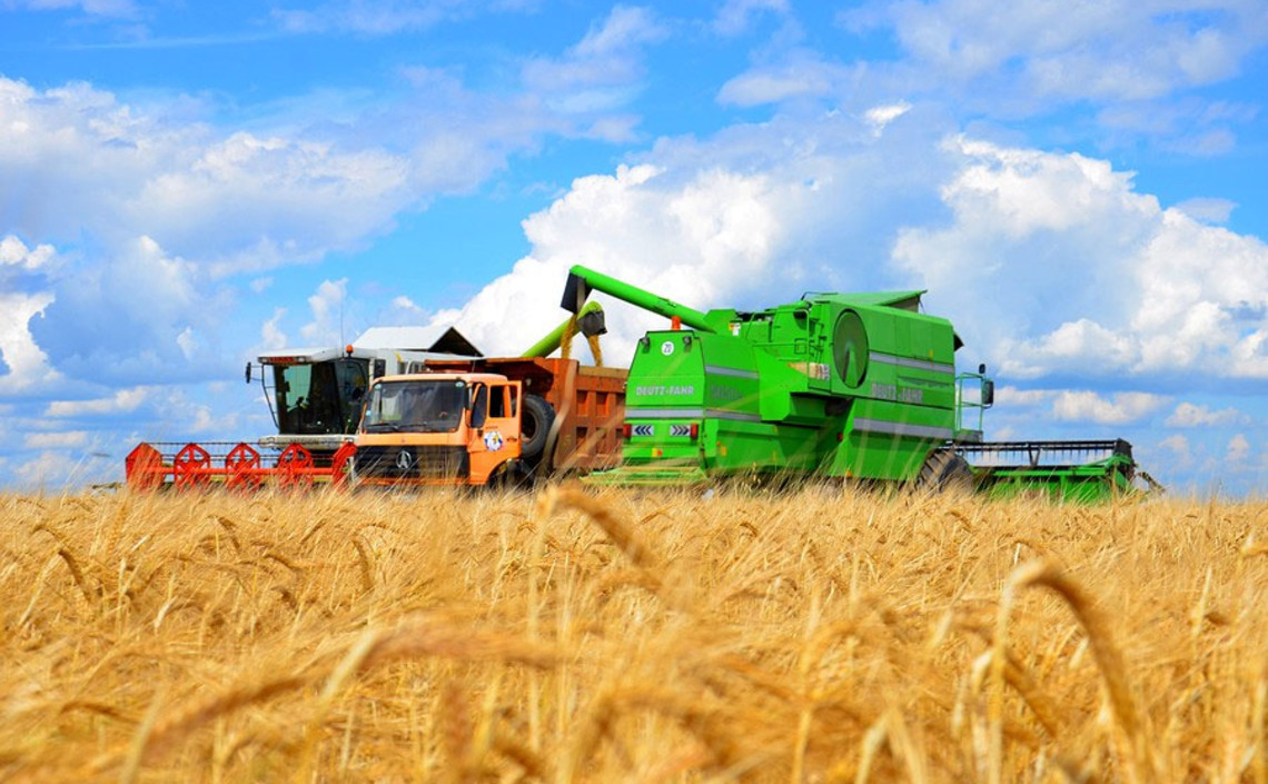 WSJ рассказала о «поражении» фермеров США из-за урожая пшеницы в России / Агро-Матик