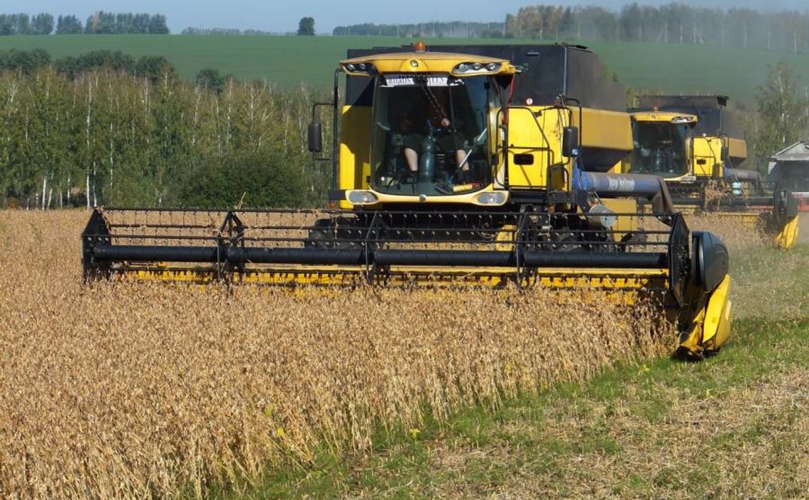 Россия не будет сокращать посевы зернобобовых, несмотря на ситуацию на мировом рынке / Агро-Матик