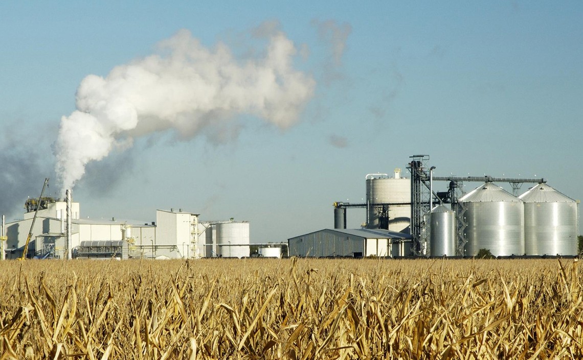 Глубокая переработка зерна — это новая отрасль экономики / Агро-Матик