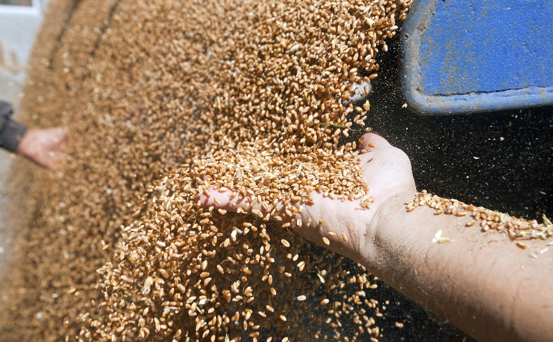 Завод по глубокой переработке зерна появится в Тамбовской области / Агро-Матик