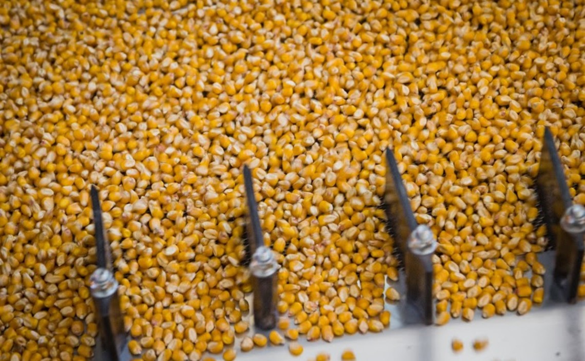 Растет экспортный спрос на кукурузу / Агро-Матик