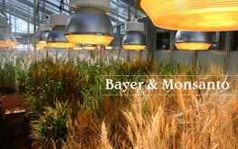 ФАС одобрила сделку по&nbsp;слиянию Bayer и&nbsp;Monsanto / Агро-Матик