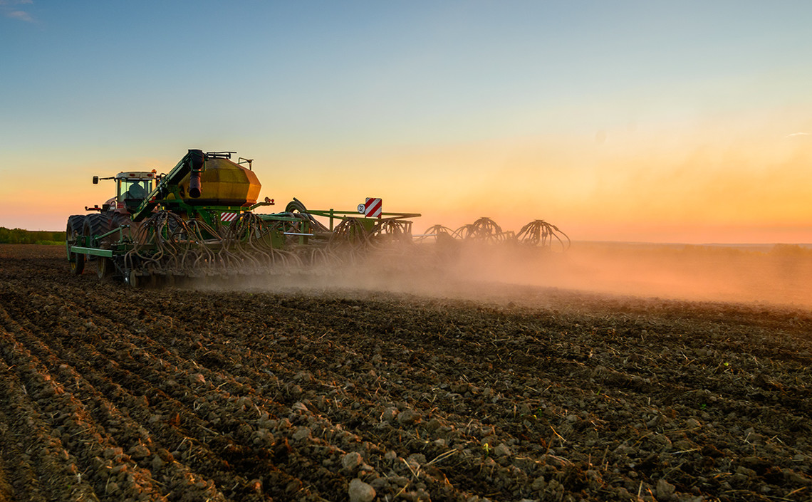 Тамбовские аграрии в этом году планируют собрать около 3,7 миллиона тонн зерна / Агро-Матик