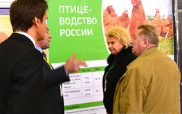 &laquo;Агро-Матик&raquo; на&nbsp;конференции по&nbsp;развитию птицеводства / Агро-Матик