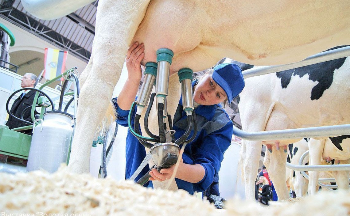 Минсельхоз России: производство молока в сельскохозяйственных организациях выросло почти на 5% / Агро-Матик