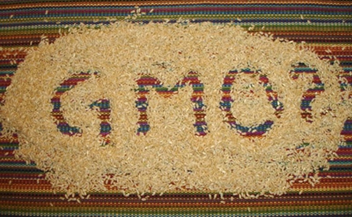 ГМО-стандарты на корма будут совершенствоваться / Агро-Матик