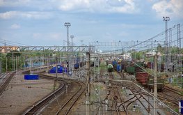 Поставлять в Китай сырье для производства комбикормов планируется через Самару / Агро-Матик