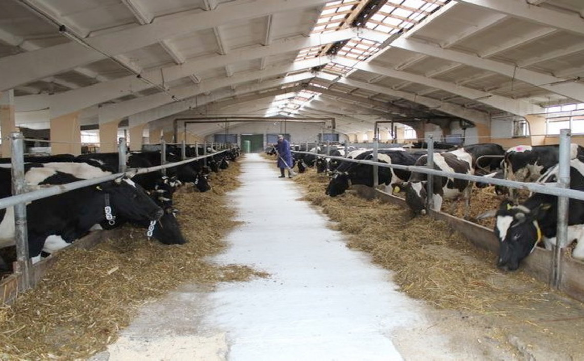 Власти Татарстана выплатят аграриям субсидии из-за снижения цен на молоко / Агро-Матик