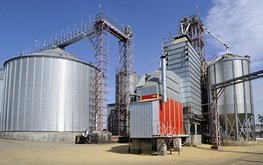 Завод по&nbsp;переработке зерна хотят построить в&nbsp;Новосибирской области / Агро-Матик