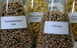 Франция одобрила жесткие стандарты маркировки кормов с&nbsp;ГМО / Агро-Матик