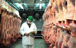 Эксперты прогнозируют в 2018 году снижение импорта мяса в Россию до 40% и рост экспорта &mdash; на 30% / Агро-Матик