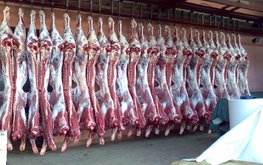 В правительстве России заявили о готовности торговать мясом с Китаем и Европой / Агро-Матик