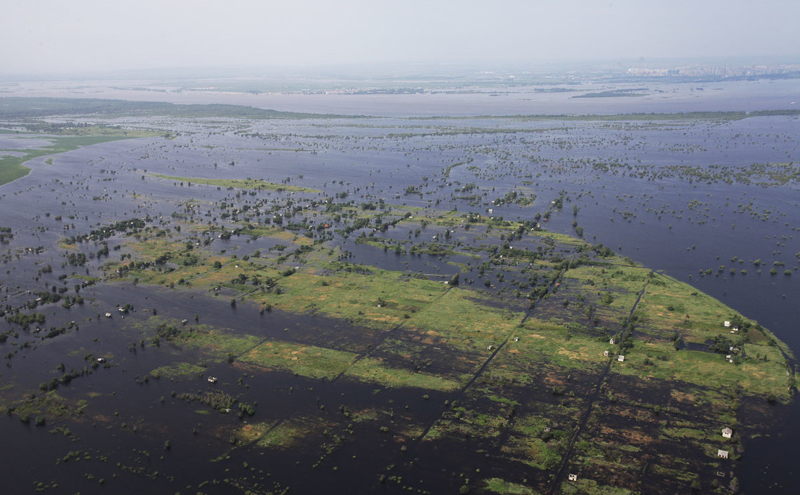 В Приамурье из-за дождей и паводка пострадали посевы сои / Агро-Матик