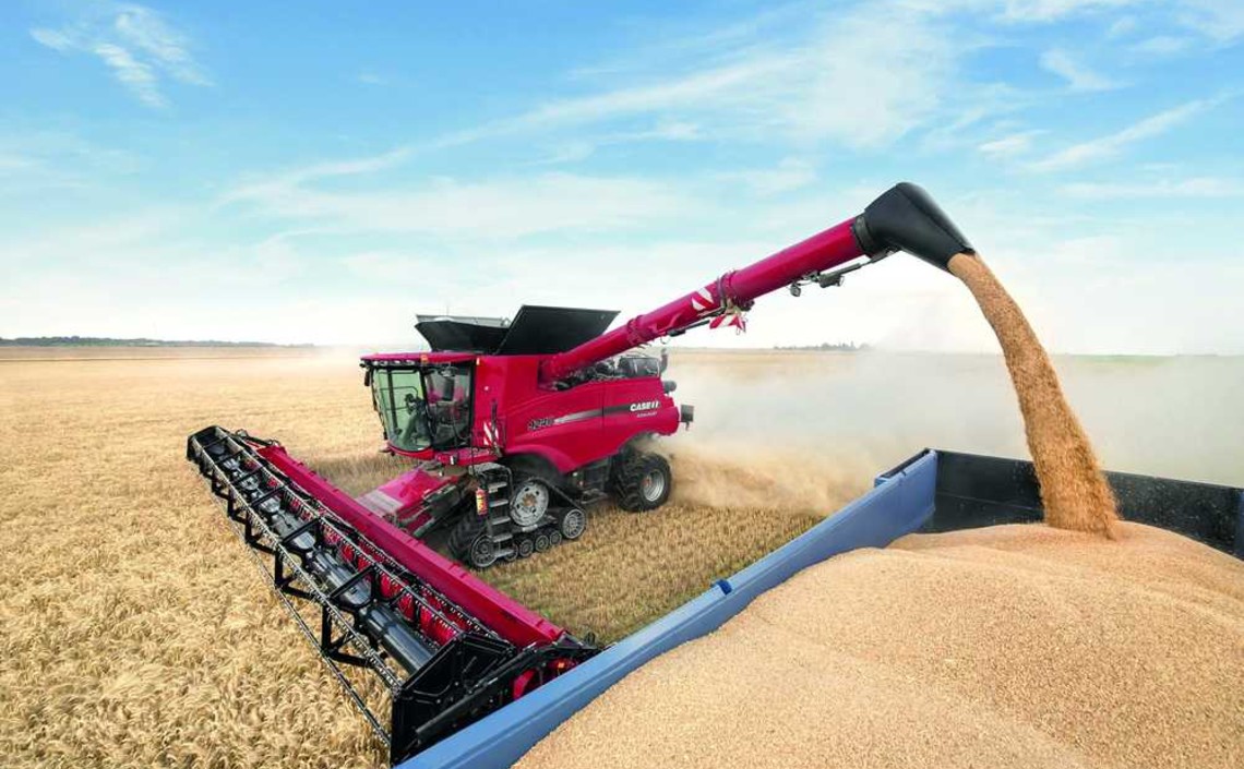 Урожай и экспорт зерна из России: соберем меньше, продадим дороже / Агро-Матик