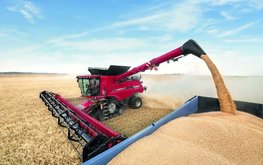 Урожай и&nbsp;экспорт зерна из&nbsp;России: соберем меньше, продадим дороже / Агро-Матик