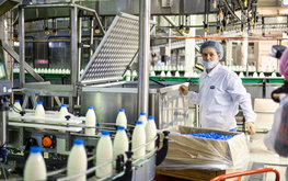 Минсельхоз подтвердил заинтересованность в&nbsp;работе с&nbsp;единым молочным союзом / Агро-Матик
