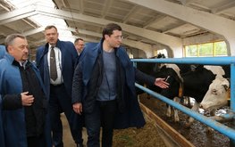 Нижегородские агропредприятия будут внедрять бережливые технологии / Агро-Матик