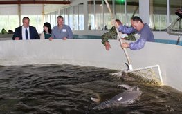 Нижегородские рыбхозы получили 6&nbsp;млн рублей субсидий / Агро-Матик