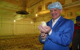 В&nbsp;животноводстве Омской области определили точки роста / Агро-Матик