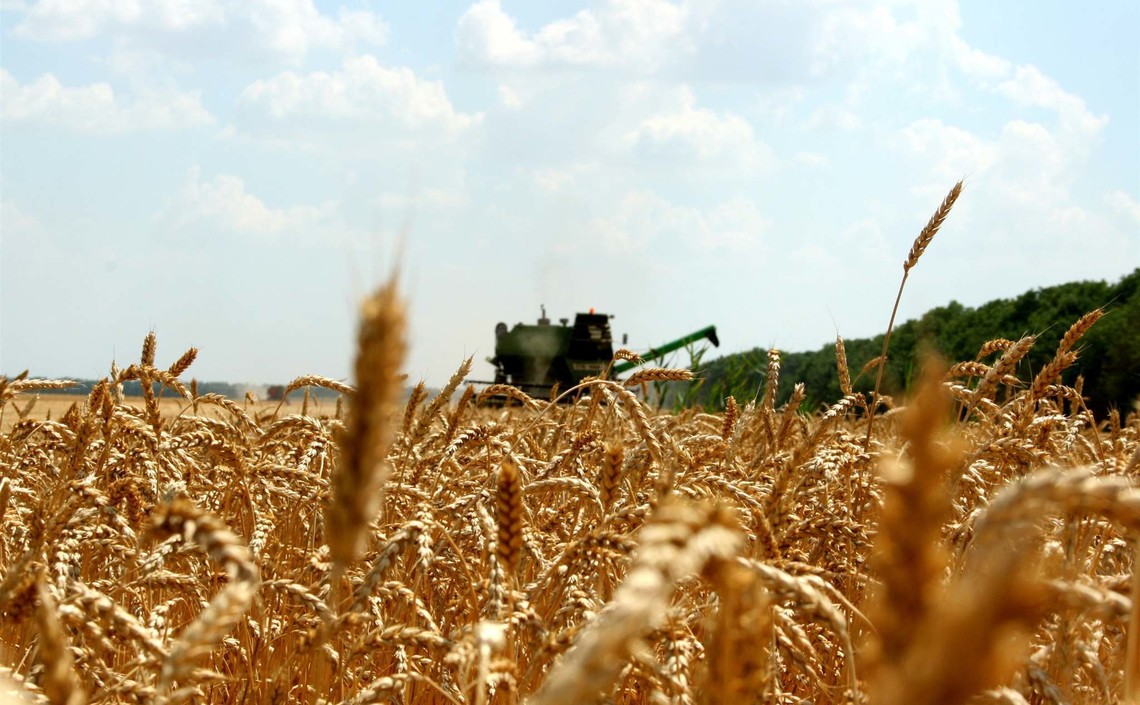 Уборка зерновых в Нижегородском регионе вышла на финишную прямую / Агро-Матик