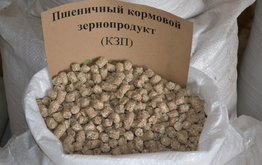 ФАО предлагает меры по&nbsp;борьбе с&nbsp;потерями зерна и&nbsp;зернопродуктов / Агро-Матик