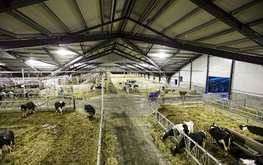 Крупные мировые экспортеры молока страдают из-за высоких затрат на&nbsp;корма / Агро-Матик