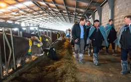 Валовое производство молока в&nbsp;Калужской области выросло почти на&nbsp;18% / Агро-Матик
