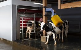 Современный роботизированный животноводческий комплекс появится в&nbsp;Вологодской области / Агро-Матик