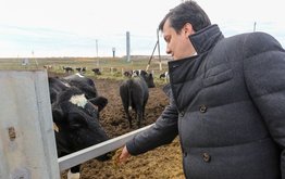 В&nbsp;Нижегородской области построят животноводческий комплекс за&nbsp;650 млн рублей / Агро-Матик
