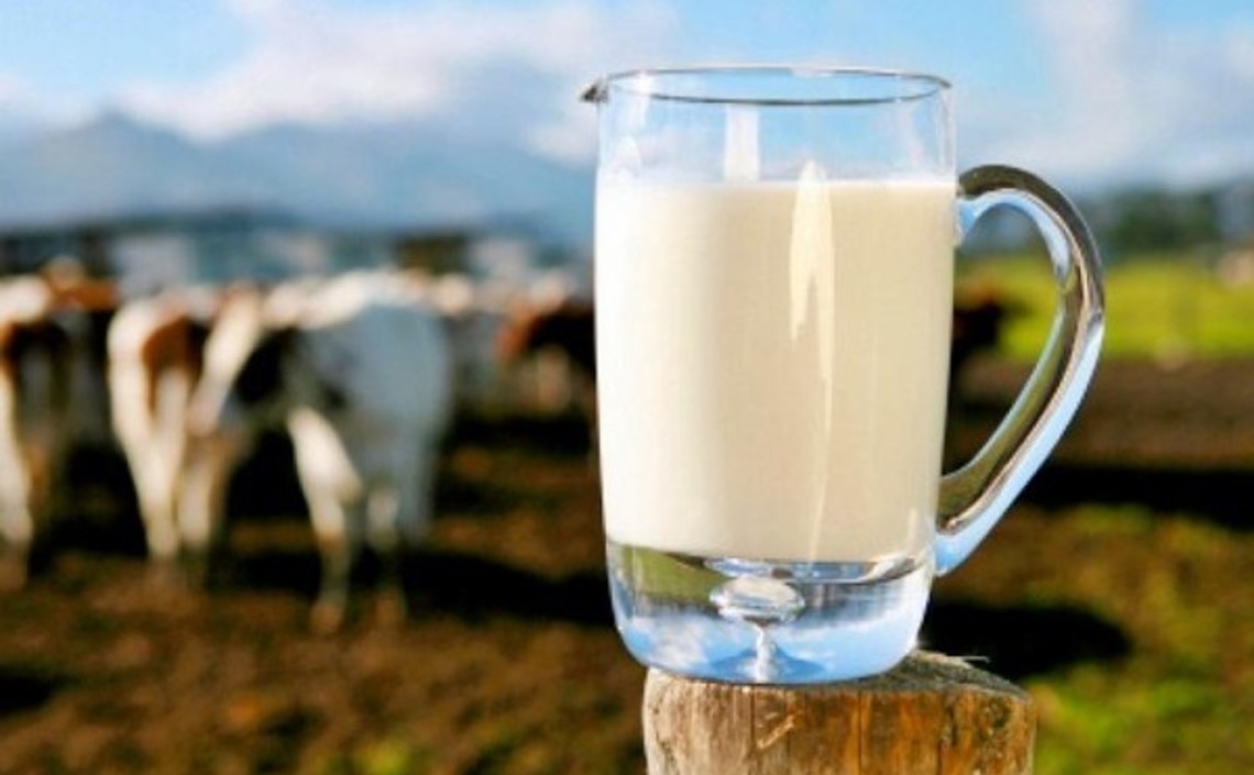 Аграриям Псковской области возместят часть затрат на анализ сырого молока и альтернативное животноводство / Агро-Матик