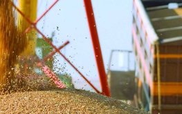 В&nbsp;Красноярском крае построят новые агрокомплексы по&nbsp;переработке зерна / Агро-Матик