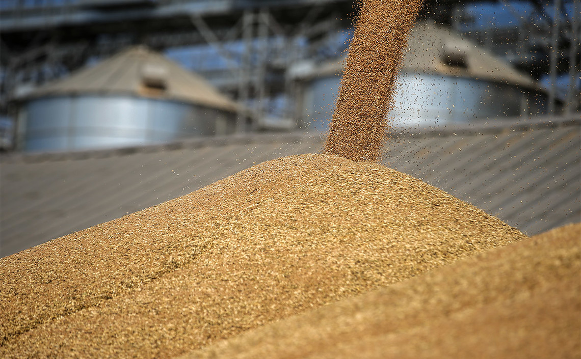 Экспортные цены на пшеницу — на максимуме в этом сезоне / Агро-Матик
