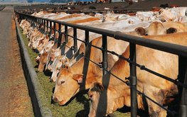 Казахстан нарастил экспорт сельхозпродукции / Агро-Матик
