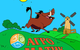 С Новым 2019 годом!